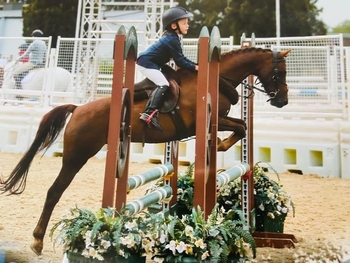 Oakley Nash from Buckinghamshire is January’s NAF Shining Star Oakley Nash from Buckinghamshire is January’s NAF Shining Star